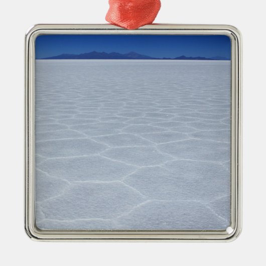 SALT-FLATS METALEN ORNAMENT (Voorkant)