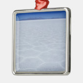SALT-FLATS METALEN ORNAMENT (Links)