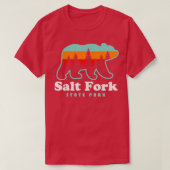 Salt Fork State Park Ohio Beer Retro Sunset T-shirt (Design voorkant)