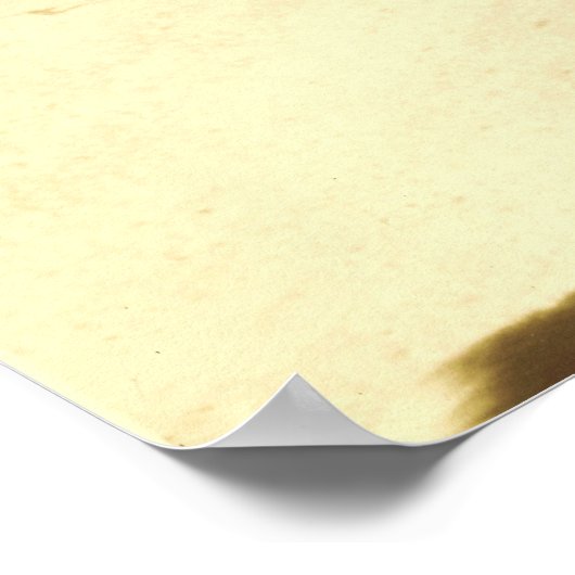 Salt Grass Trail Ride Through Downtown Houston, Tx Poster (Hoek)