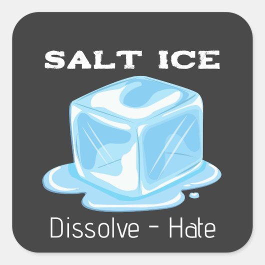 Salt Ice Sticker (Voorkant)
