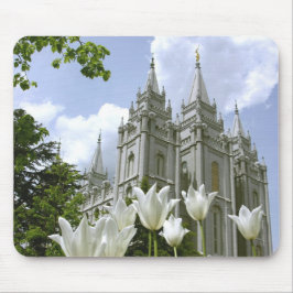 Salt Lake City Temple Muismat