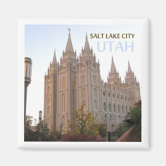 Salt Lake City Utah Travel Souvenir Koelkast Magne Magneet