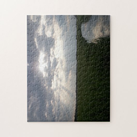 Salt Marsh Tybee Island Savannah Georgia Legpuzzel (Verticaal)