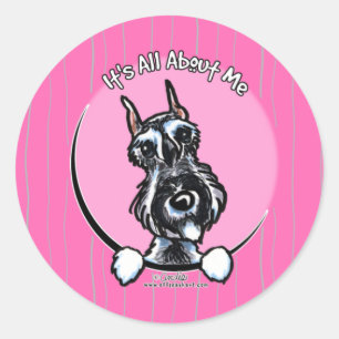 Salt Pepper Schnauzer IAAM Ronde Sticker