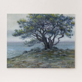 “Salt Point Boom” Legpuzzel