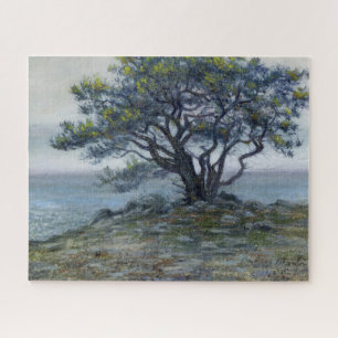 “Salt Point Boom” Legpuzzel