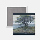 “Salt Point Boom” Magneet (Voorkant / Achterkant)