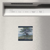 “Salt Point Boom” Magneet (Insitu (Vaatwasser))