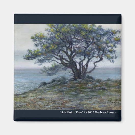 “Salt Point Boom” Magneet (Voorkant)