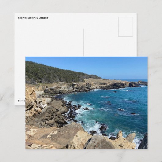Salt Point State Park, Californië Briefkaart (Voorkant / Achterkant)