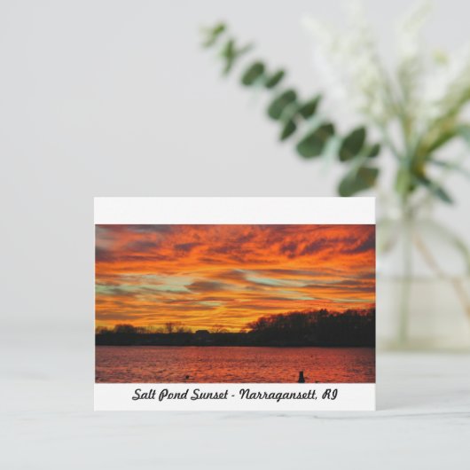 Salt Pond Narragansett Rhode Island Briefkaart (Staand voorkant)