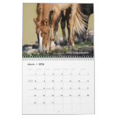 Salt River Truth 2026 Wall Calendar Kalender (Mar 2026)
