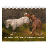 Salt River Truth 2026 Wall Calendar Kalender (Hoes)