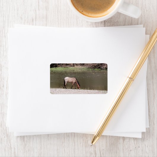 Salt River Wild Horses Collection Address Label (Insitu)