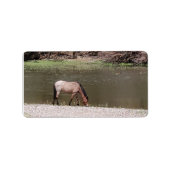 Salt River Wild Horses Collection Address Label (Voorkant)