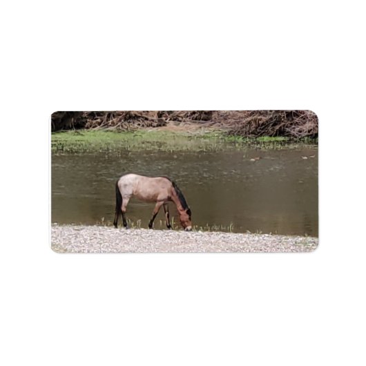 Salt River Wild Horses Collection Address Label (Voorkant)