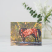 Salt River Wild Stallion Tango Briefkaart (Staand voorkant)