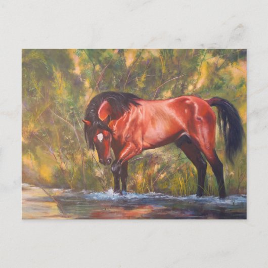 Salt River Wild Stallion Tango Briefkaart (Voorkant)