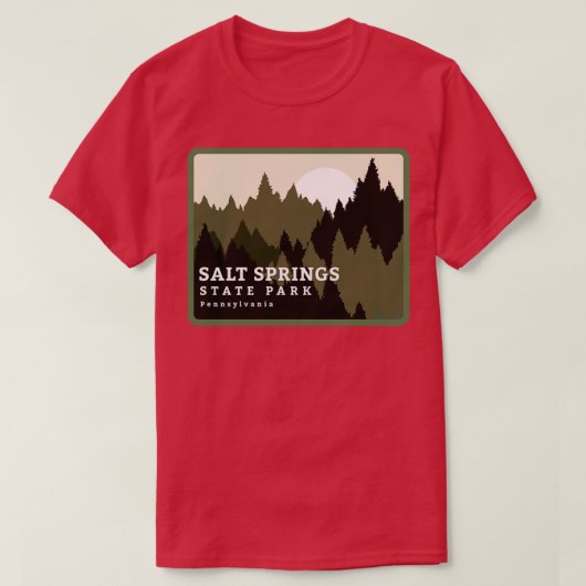 Salt Springs State Park Pennsylvania Forest Sunris T-shirt (Design voorkant)