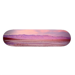 Salt Water Lake Death Valley Persoonlijk Skateboard