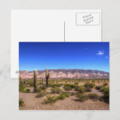 Salta Argentina Cactus Planten en Barren Hill Briefkaart (Voorkant / Achterkant)