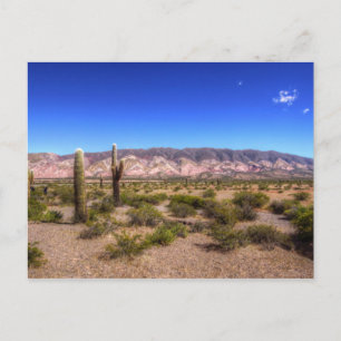 Salta Argentina Cactus Planten en Barren Hill Briefkaart