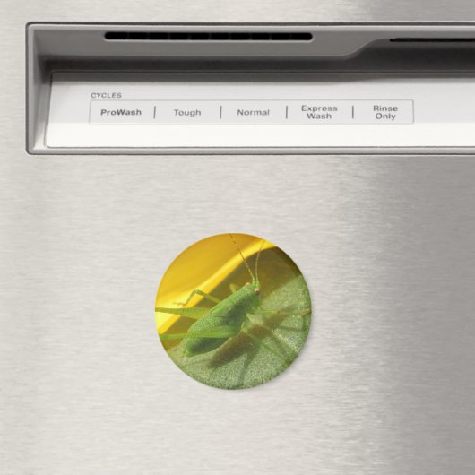 Saltamontes Magneet (Insitu (Vaatwasser))