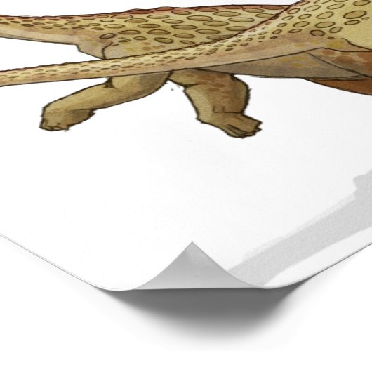 Saltasaurus - Cretacous Dinosaur Portfolio Poster (Hoek)