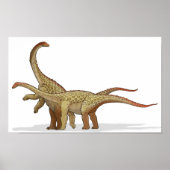 Saltasaurus - Cretacous Dinosaur Portfolio Poster (Voorkant)
