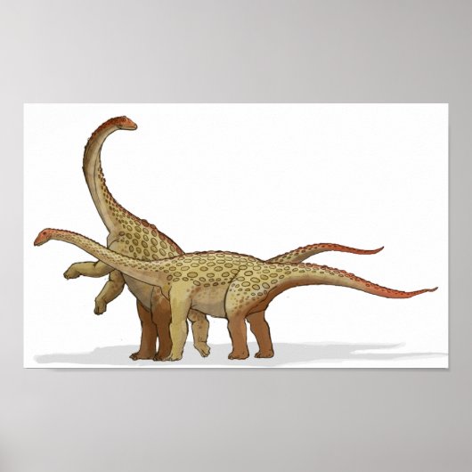 Saltasaurus - Cretacous Dinosaur Portfolio Poster (Voorkant)