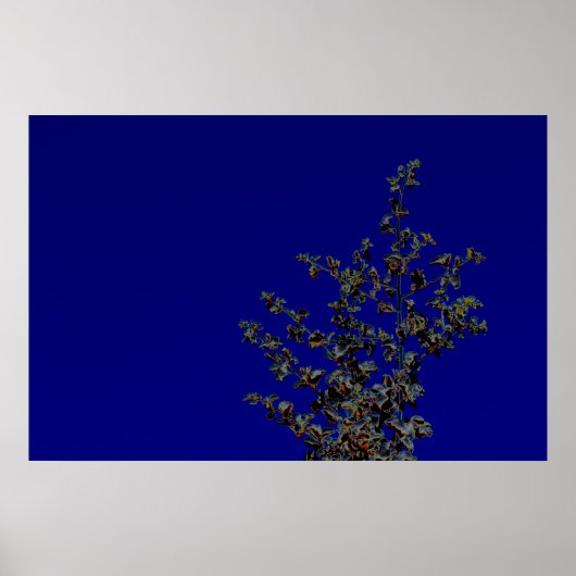 Saltbush Atriplex Leaf Natuur Minimalistisch Poste Poster (Voorkant)
