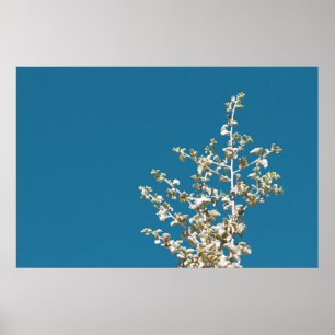 Saltbush Atriplex Leaf Natuur Minimalistisch Poste Poster