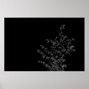 Saltbush Atriplex Leaf Natuur Minimalistisch Poste Poster