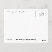 Salticide springspin op Dusty Miller Briefkaart (Achterkant)