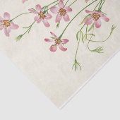 Saltmarsh Rosegentian van Mary Vaux Walcott Tissuepapier (Detail)