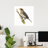 Saltmarsh Sparrow Poster (Thuiskantoor)
