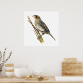 Saltmarsh Sparrow Poster (Keuken)