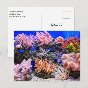 Saltwater Aquarium - Coral Reef Briefkaart