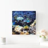 Saltwater aquarium Square klok (Huis)