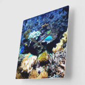 Saltwater aquarium Square klok (Hoek)
