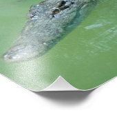 Saltwater Crocodile in Australië Foto Afdruk (Hoek)