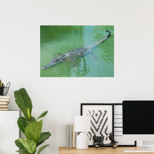Saltwater Crocodile in Australië Poster (Thuiskantoor)