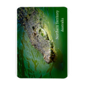 Saltwater Crocodile, noordelijk gebied Magneet (Verticaal)