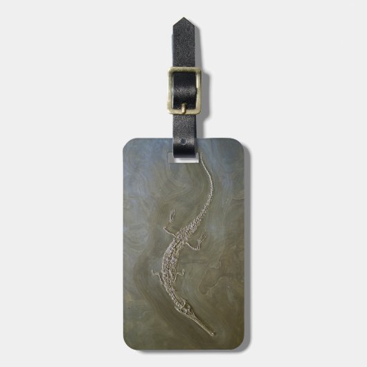 Saltwater Crocodile Skeleton Steneosaurus Bagagelabel (Voorkant verticaal)