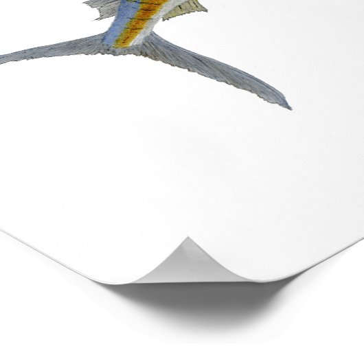 Saltwater Gamefish Art Poster (Hoek)