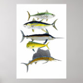 Saltwater Gamefish Art Poster (Voorkant)