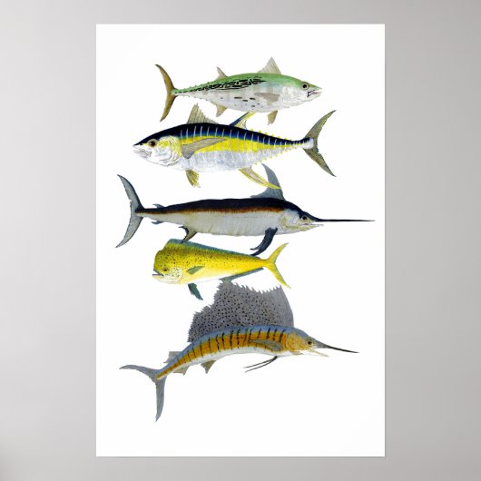 Saltwater Gamefish Art Poster (Voorkant)