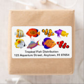 saltwater Marine Aquarium Fish Label (Insitu)
