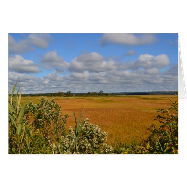 Saltwater Marsh Notecard (Voorkant Horizontaal)